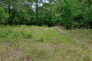 436 Russell Blvd, Saint George, GA 31562 - Photo 28