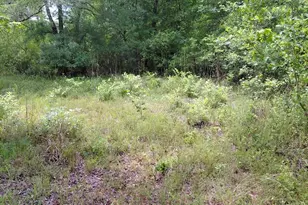 436 Russell Blvd, Saint George, GA 31562 - Photo 16