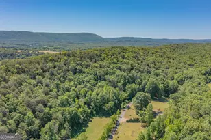 1004 Crow Gap, Chickamauga, GA 30707 - Photo 20