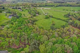 80 Upper Caldwell Rd, Bowdon, GA 30108 - Photo 28