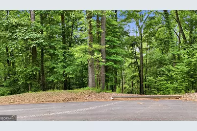237 Waters Edge Court, Martin, GA 30557 - Photo 12