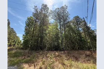 467 N Raburn Road, Bremen, GA 30110 - Photo 1