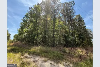 467 N Raburn Road, Bremen, GA 30110 - Photo 2