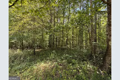 467 N Raburn Road, Bremen, GA 30110 - Photo 6