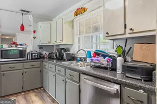 344 Sapp Ave SW, Pelham, GA 31779 - Photo 8