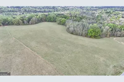 48.04 Acres Caldwell Rd, Zebulon, GA 30295 - Photo 2