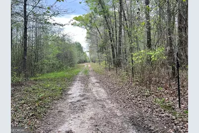 48.04 Acres Caldwell Road, Zebulon, GA 30295 - Photo 10