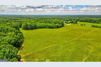 48.04 Acres Caldwell Road, Zebulon, GA 30295 - Photo 18