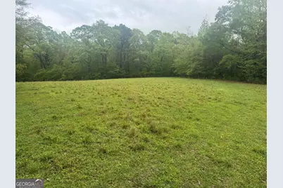 48.04 Acres Caldwell Rd, Zebulon, GA 30295 - Photo 6
