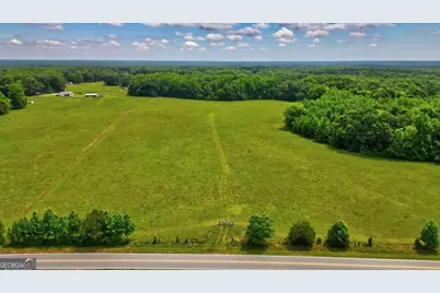 48.04 Acres Caldwell Road, Zebulon, GA 30295 - Photo 2