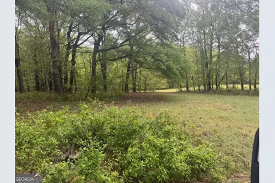 48.04 Acres Caldwell Road, Zebulon, GA 30295 - Photo 6