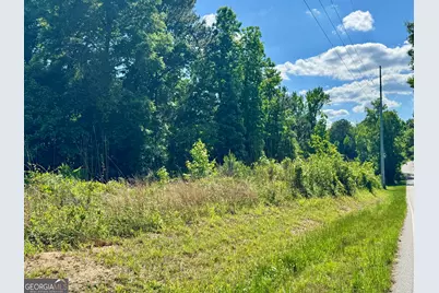 000 Leslie Mill Road, Greensboro, GA 30642 - Photo 10