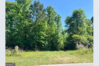 000 Leslie Mill Road, Greensboro, GA 30642 - Photo 12