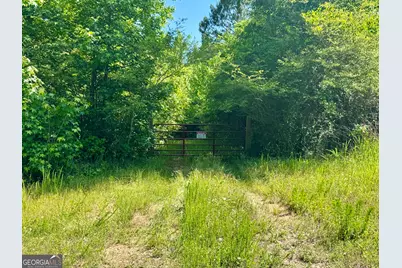 000 Leslie Mill Road, Greensboro, GA 30642 - Photo 4