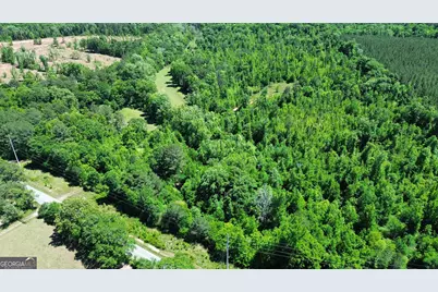 000 Leslie Mill Road, Greensboro, GA 30642 - Photo 22