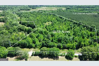 000 Leslie Mill Road, Greensboro, GA 30642 - Photo 2