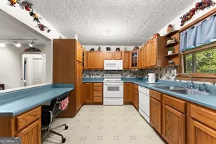 350 Old River Rd, Cornelia, GA 30531 - Photo 14