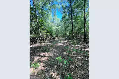 2415 E US Hwy 82, Shellman, GA 39886 - Photo 16