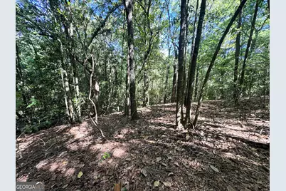 2415 E US Hwy 82, Shellman, GA 39886 - Photo 24
