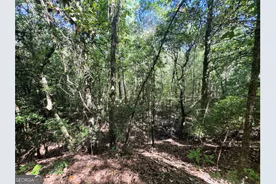 2415 E US Hwy 82, Shellman, GA 39886 - Photo 22