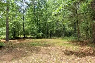 132 N Ocmulgee Blvd, Jacksonville, GA 31544 - Photo 48