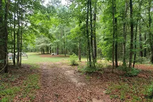 132 N Ocmulgee Blvd, Jacksonville, GA 31544 - Photo 44