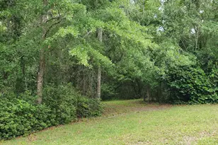 132 N Ocmulgee Blvd, Jacksonville, GA 31544 - Photo 56
