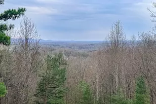 406 Yonah Mountain Rd, Cleveland, GA 30528 - Photo 58