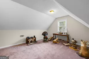 466 Bob Smith Rd, Sharpsburg, GA 30277 - Photo 42