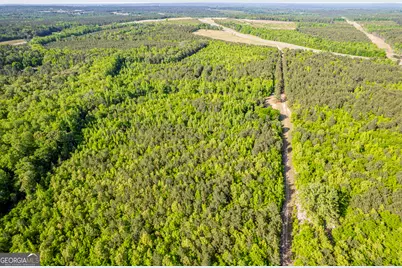 21701 Highway 441, Mcintyre, GA 31054 - Photo 6