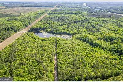 21701 Highway 441, Mcintyre, GA 31054 - Photo 1