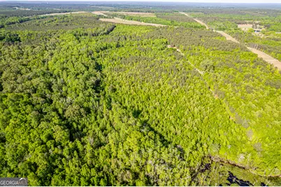 21701 Highway 441, Mcintyre, GA 31054 - Photo 4