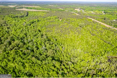 21701 Highway 441, Mcintyre, GA 31054 - Photo 2
