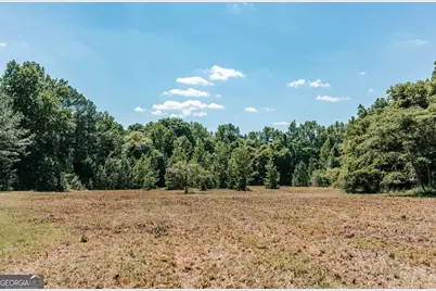 111 Rocky Drive, Carlton, GA 30627 - Photo 6