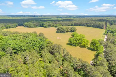 0 Pitts Chapel Road, Monticello, GA 31064 - Photo 14