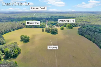 0 Pitts Chapel Road, Monticello, GA 31064 - Photo 4