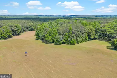 0 Pitts Chapel Road, Monticello, GA 31064 - Photo 18