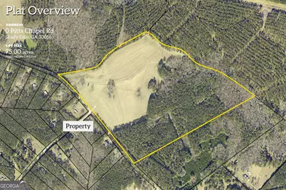 0 Pitts Chapel Road, Monticello, GA 31064 - Photo 2