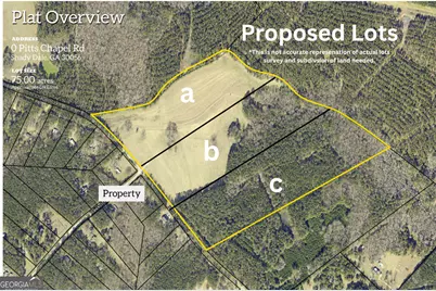 0 Lot A Pitts Chapel Road, Monticello, GA 31064 - Photo 1