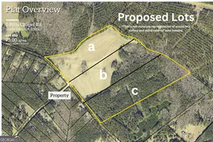 0 Pitts Chapel Rd Lot B, Monticello, GA 31064 - Photo 1
