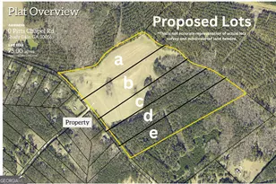 Lot A O Pitts Chapel Rd, Monticello, GA 31064 - Photo 1