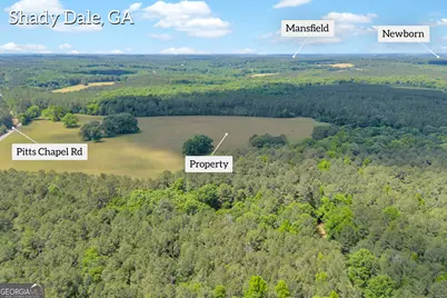 Lot B 0 Pitts Chapel Road, Monticello, GA 31064 - Photo 2