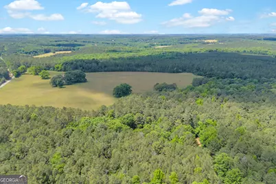 Lot C 0 Pitts Chapel Road, Monticello, GA 31064 - Photo 4