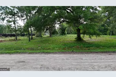 .75 Acre Butler Street, Bainbridge, GA 39817 - Photo 8