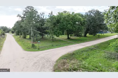 .75 Acre Butler Street, Bainbridge, GA 39817 - Photo 6