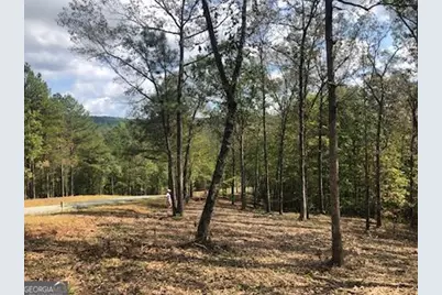 Lt 90 Barrel Knot Court, Ellijay, GA 30536 - Photo 2