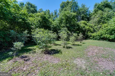 2116 Dot Harvey Road, Jakin, GA 39861 - Photo 30