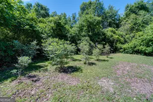 2116 Dot Harvey Rd, Jakin, GA 39861 - Photo 30