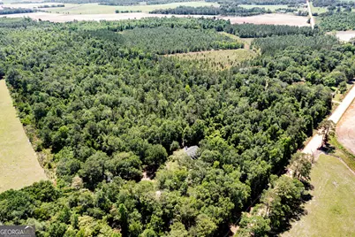 2116 Dot Harvey Road, Jakin, GA 39861 - Photo 36