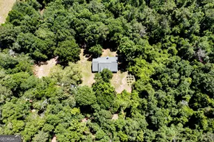 2116 Dot Harvey Rd, Jakin, GA 39861 - Photo 34